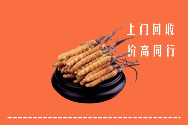 高价求购：东风区回收散虫草