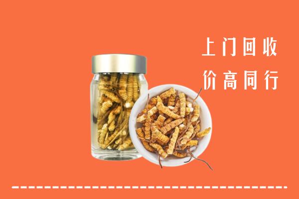 东风区回收冬虫夏草