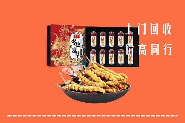 东风区回收虫草